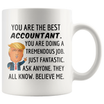 Load image into Gallery viewer, Trump Accountant Mug
