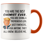 Load image into Gallery viewer, Trump Mug Best Chemist
