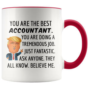 Trump Accountant Mug