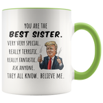 Load image into Gallery viewer, Best Sister Trump Mug
